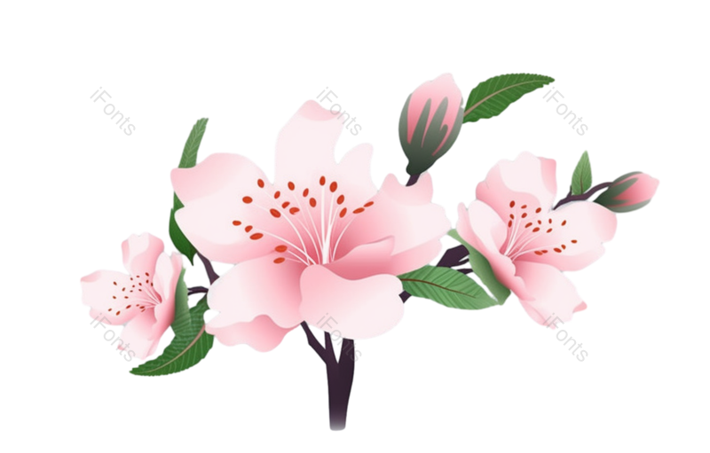 装饰图片,元素元素,插画PNG,粉红色的花免抠素材